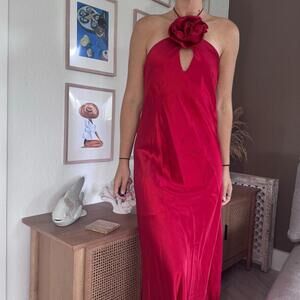 Delfi Red Maxi Dress Tagged